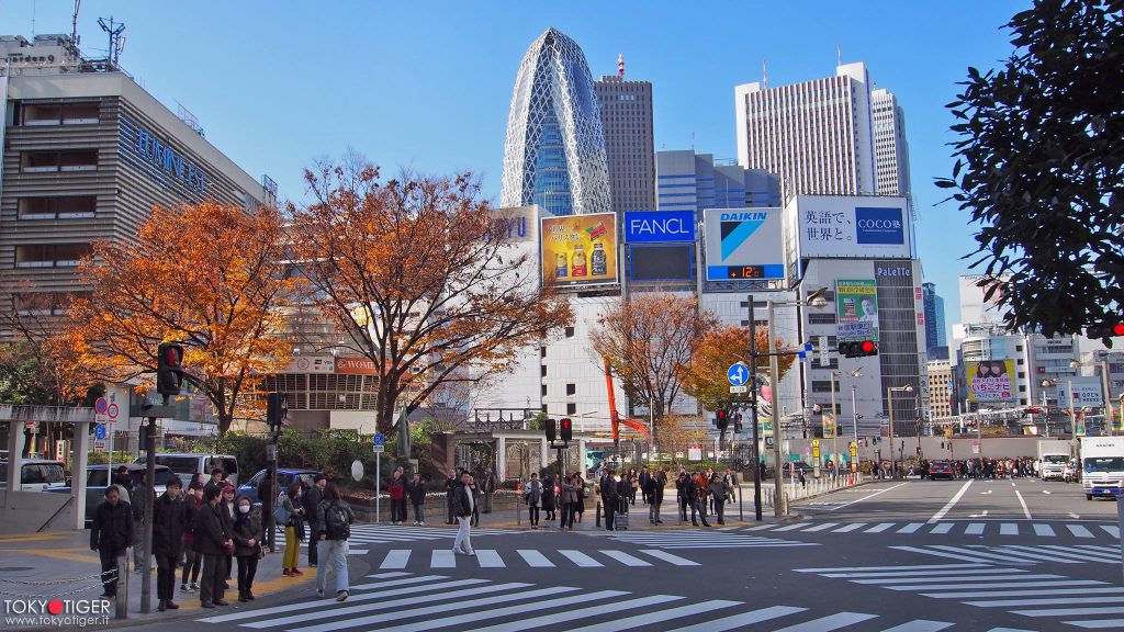 tokyo,shinjuku,tokyotiger,only-in-japan,momiji,jizo,aceri,aceri-giapponesi