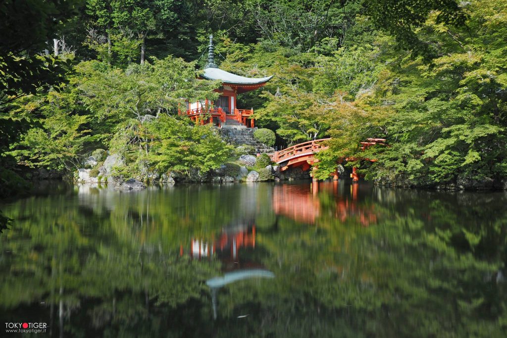 kyoto,tokyotiger,only-in-japan,momiji