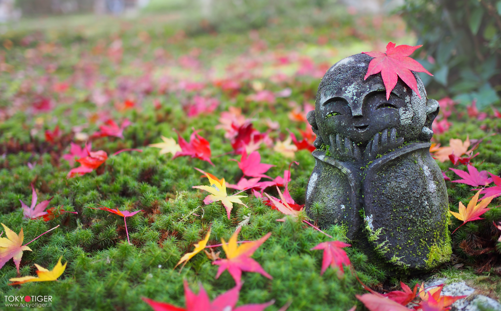 kyoto,tokyotiger,only-in-japan,momiji,jizo,aceri,aceri-giapponesi