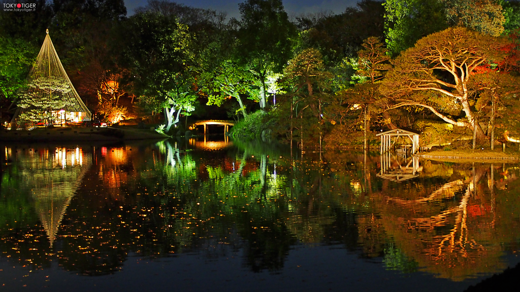 kyoto,tokyotiger,only-in-japan,momiji,jizo,aceri,aceri-giapponesi