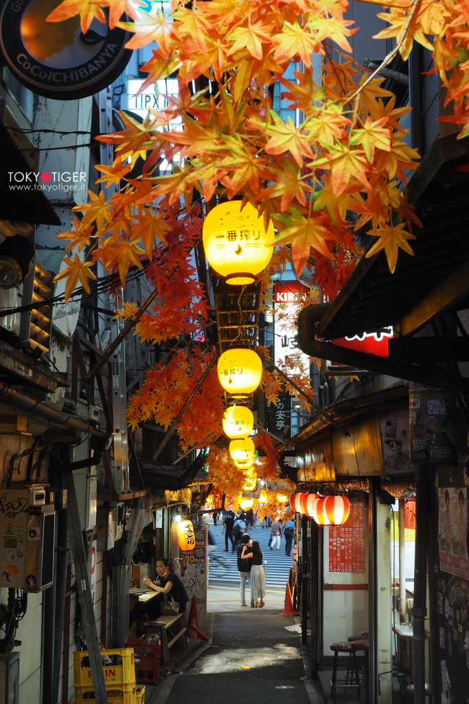 tokyo,shinjuku,tokyotiger,only-in-japan,momiji,jizo,aceri,aceri-giapponesi