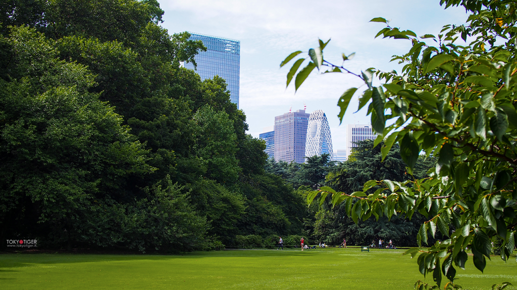 Parco Gyoen a Shinjuku foto di Tokyotiger Tokyo Tiger a Tokyo